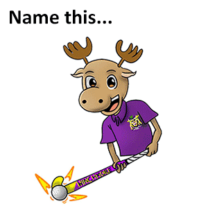 Name our junior mascot!